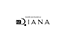 diana2.png