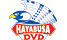 hayabusa.png