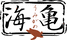 umigame.png