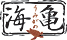 umikame.png